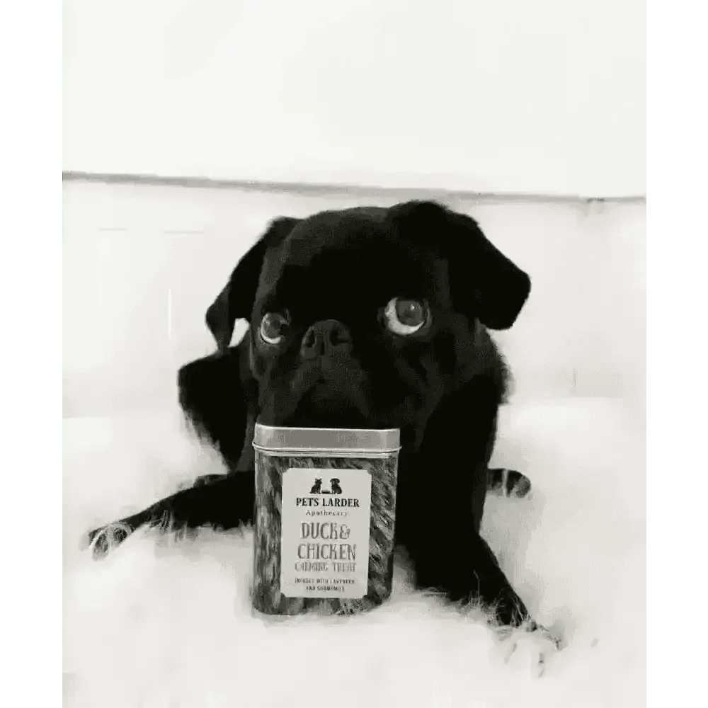 Calming Duck & Chicken Treats for Cats & Dogs