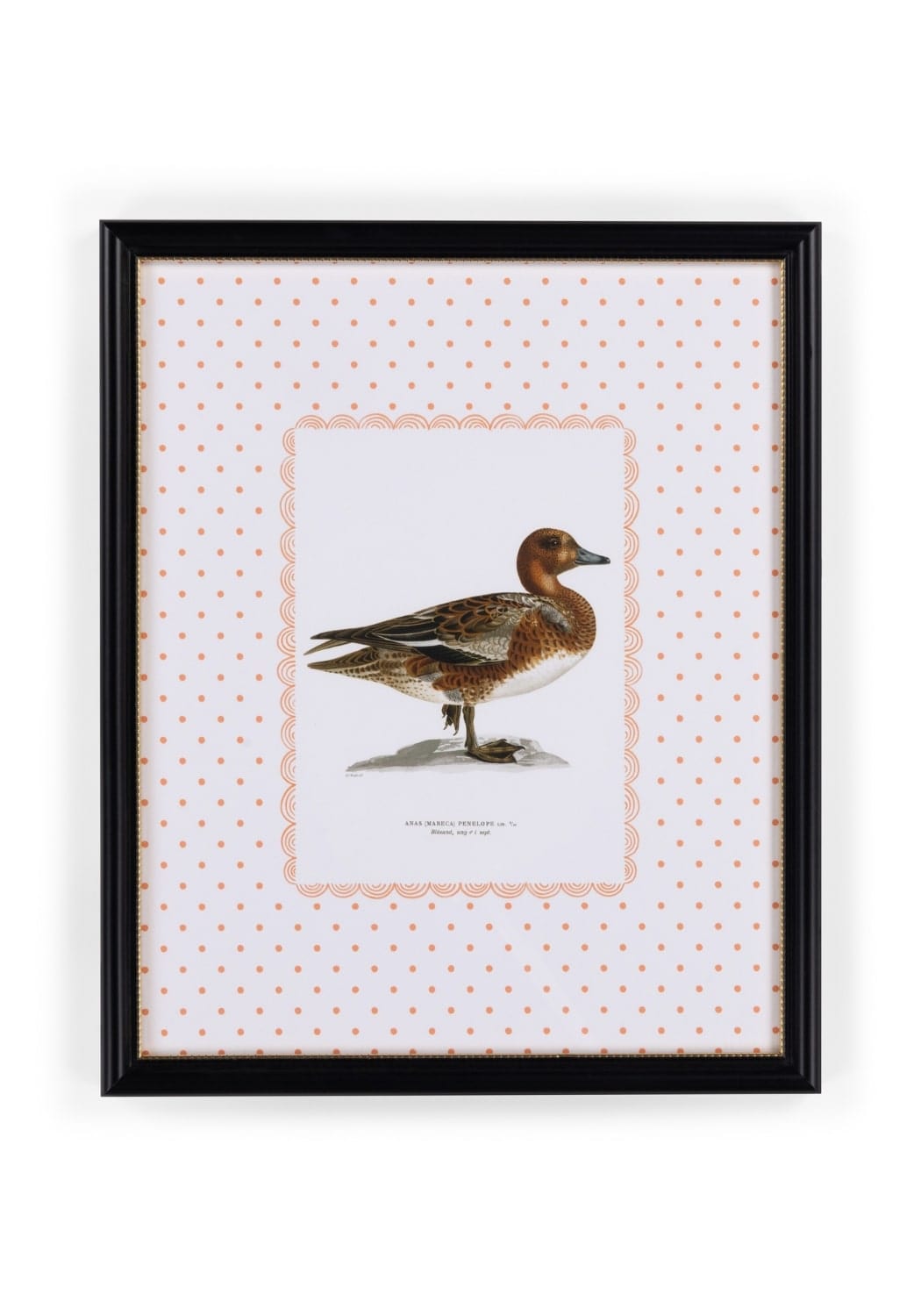 Duck I Framed Print - The Most Dashing Duck You'll Ever Hang on a Wall