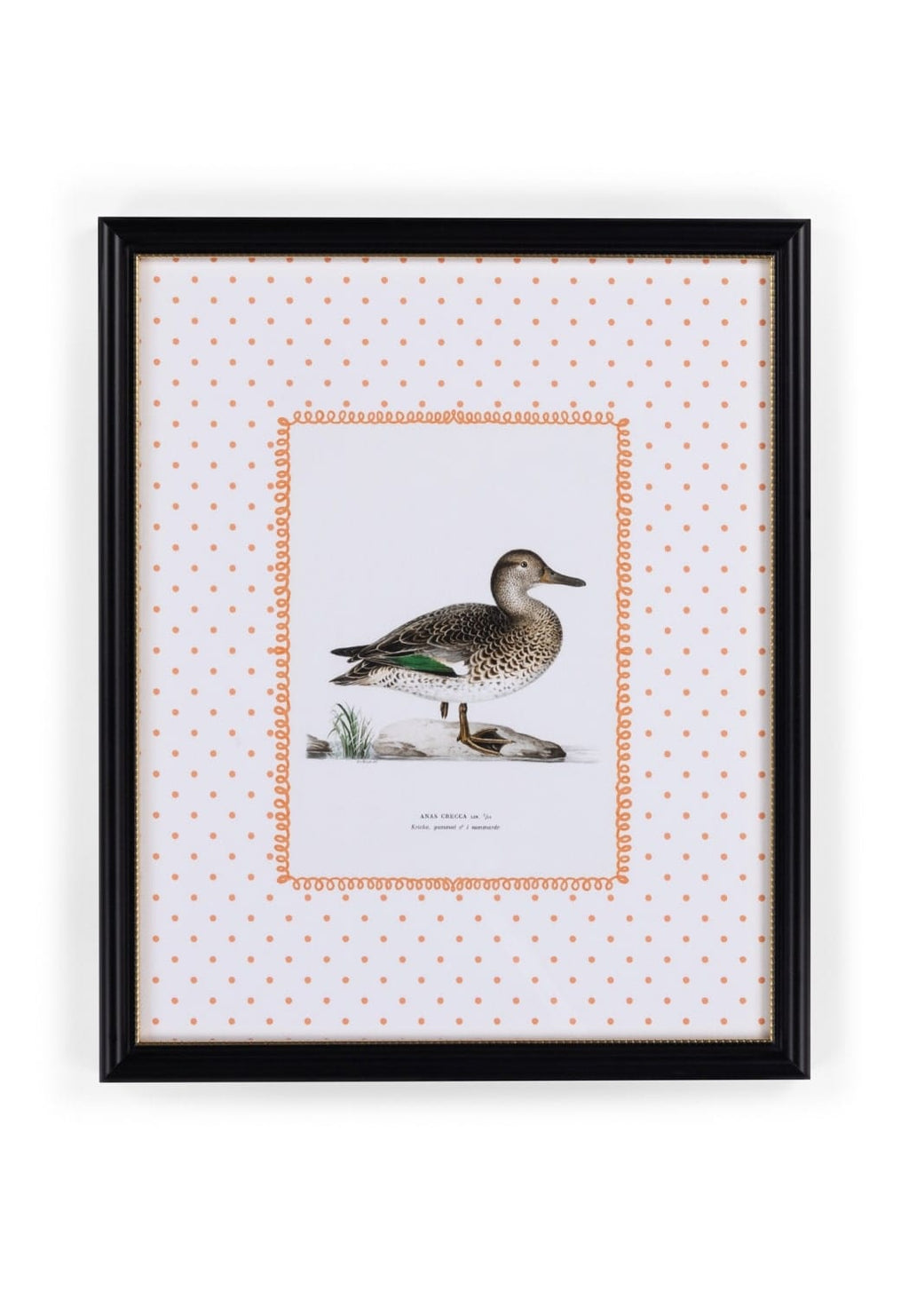 Duck II Framed Print - Utterly Adorable Wall Art