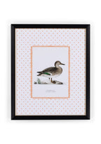 Duck II Framed Print - Utterly Adorable Wall Art