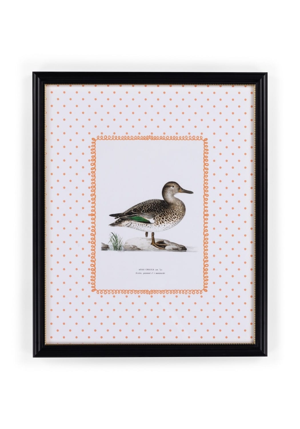 Duck II Framed Print - Utterly Adorable Wall Art