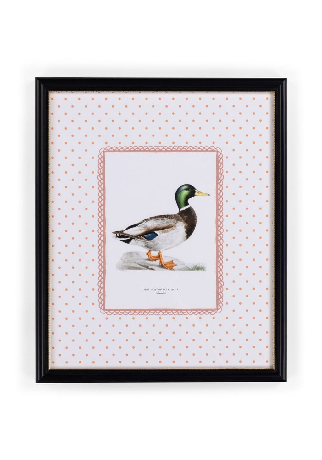 Feather and Grace Duck Print III