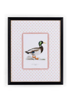Feather and Grace Duck Print III