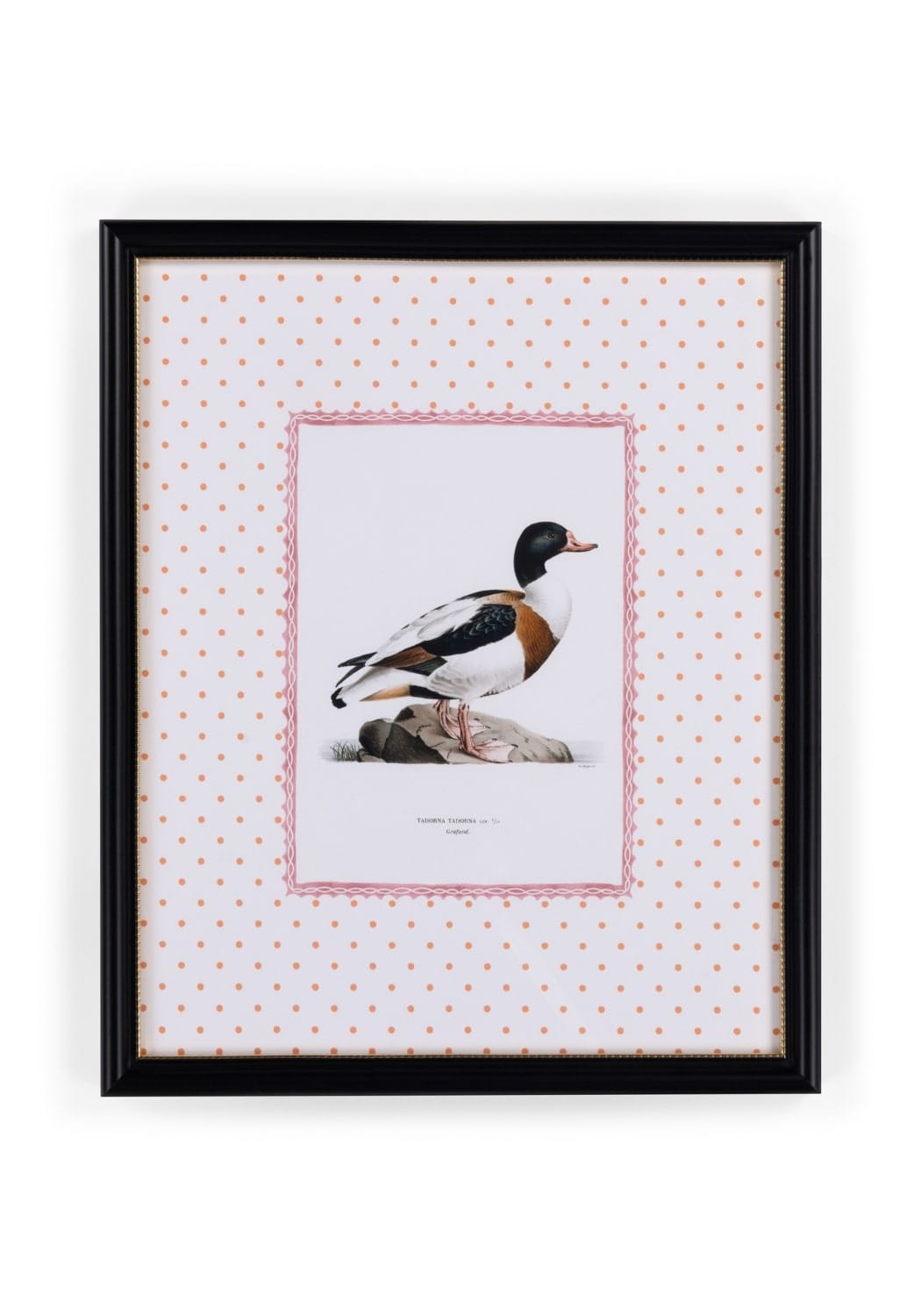 Duck IV Framed Print- The Prettiest By Far