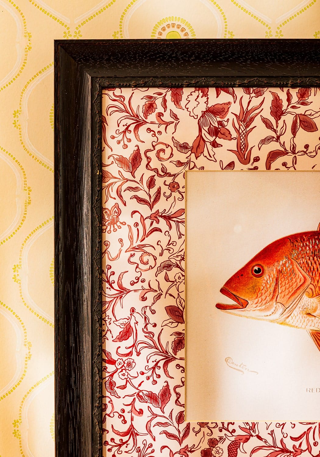 Fish Study I  Vintage Character for Every Corner