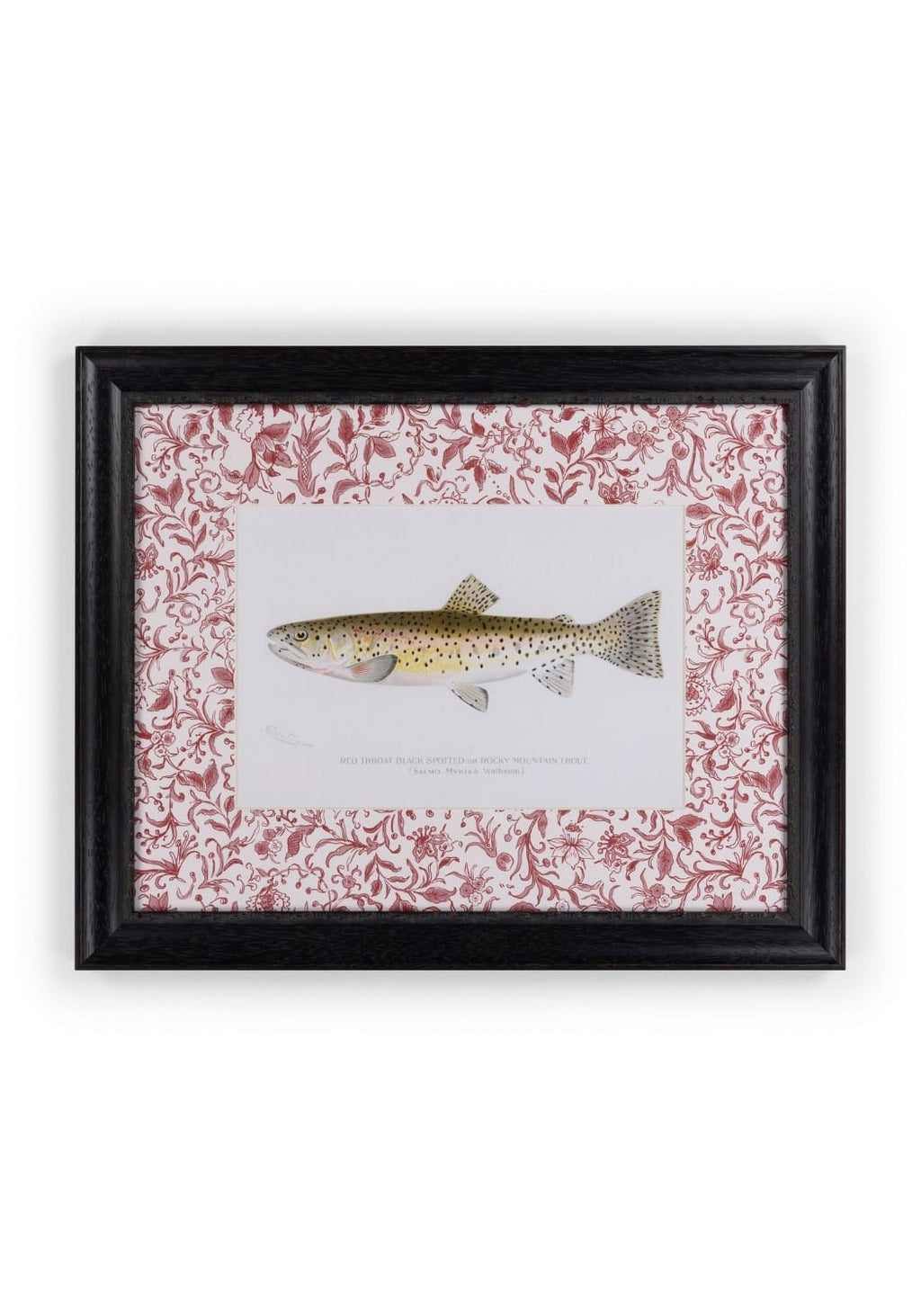 Fish II Framed Print- A Quiet Classic with Personality
