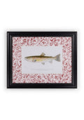 Fish II Framed Print- A Quiet Classic with Personality
