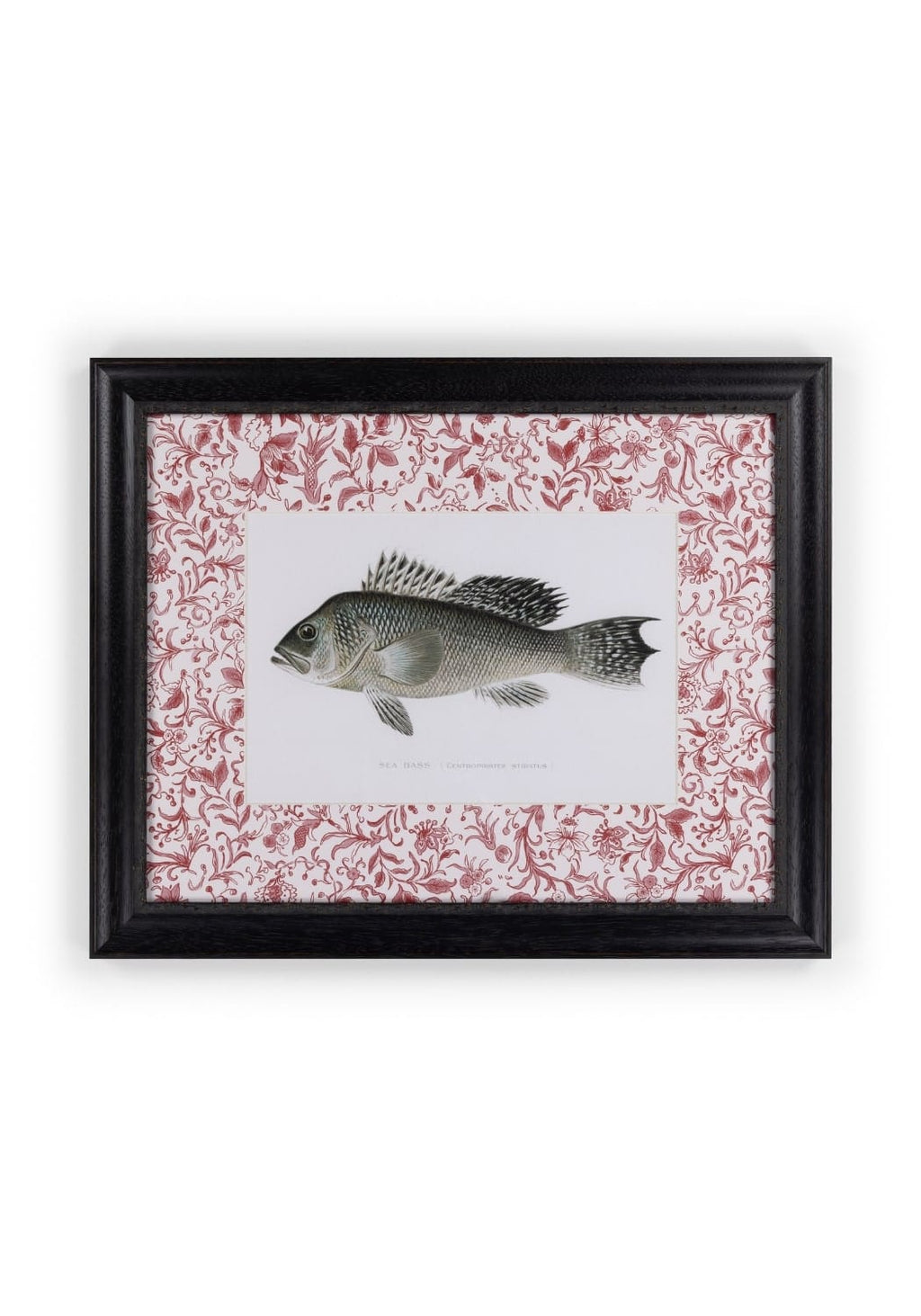 Fish III Framed Print Noble Vintage for the English Home