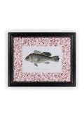 Fish III Framed Print Noble Vintage for the English Home