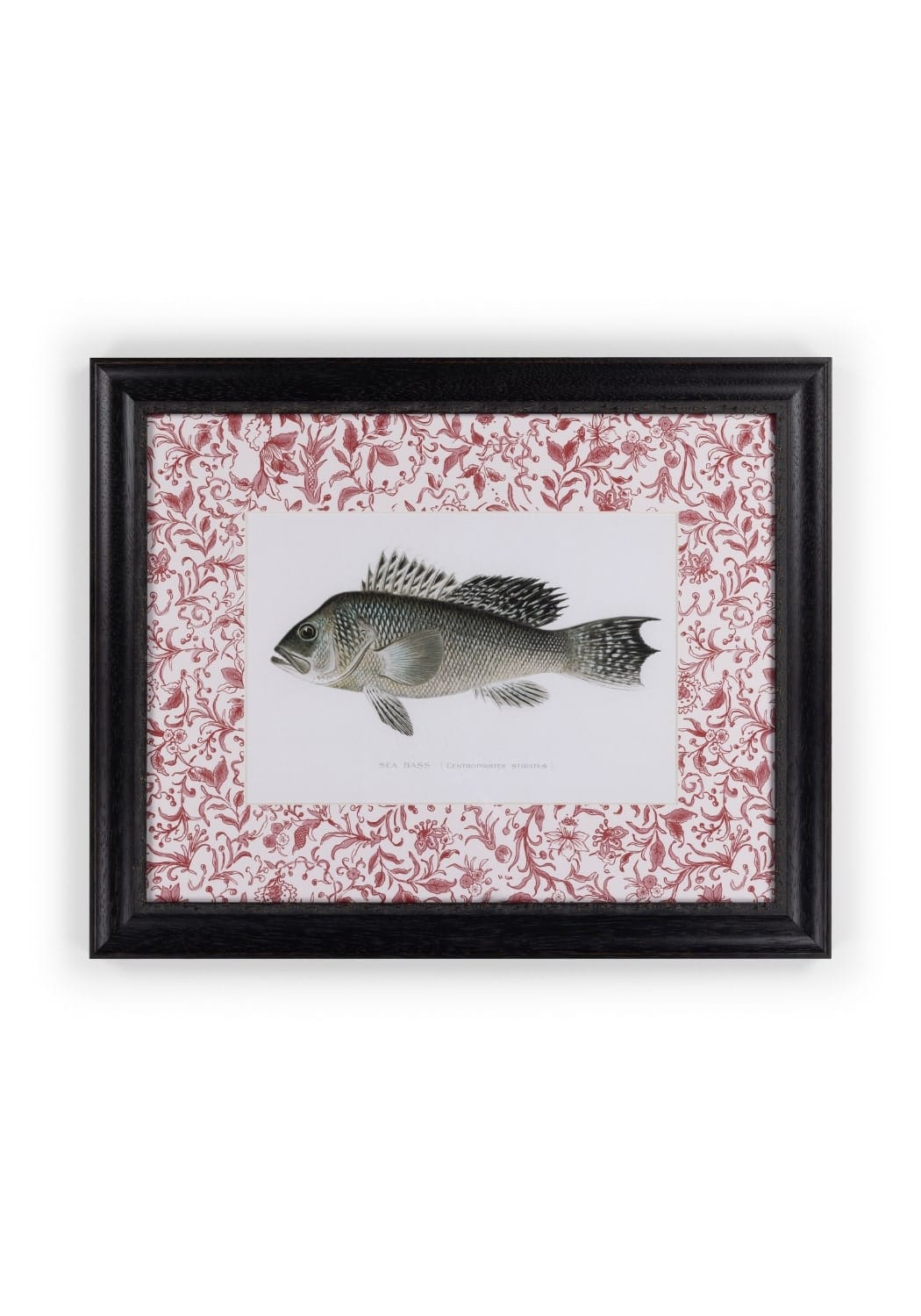 Fish III Framed Print Noble Vintage for the English Home