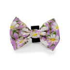 Daisy Dreams Design Dog Harness