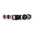 Daisy Dreams Design Dog Collar