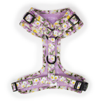 Daisy Dreams Design Dog Collar