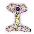 Daisy Dreams Design Dog Harness