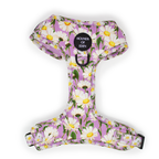 Daisy Dreams Design Dog Harness