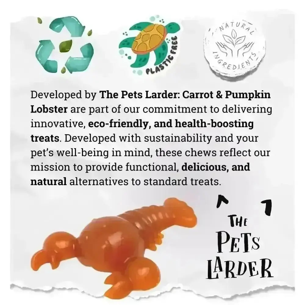 Carrot & Pumpkin Lobster Dog Chew
