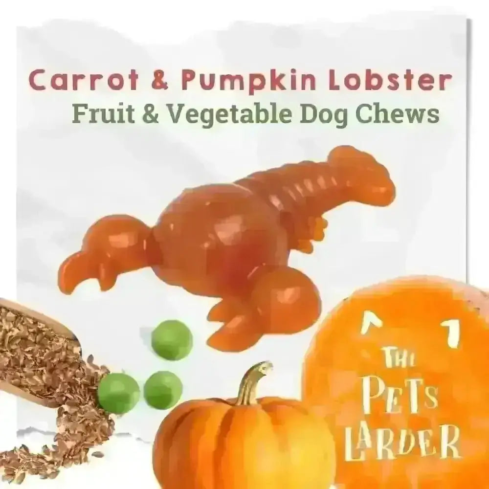 Carrot & Pumpkin Lobster Dog Chew