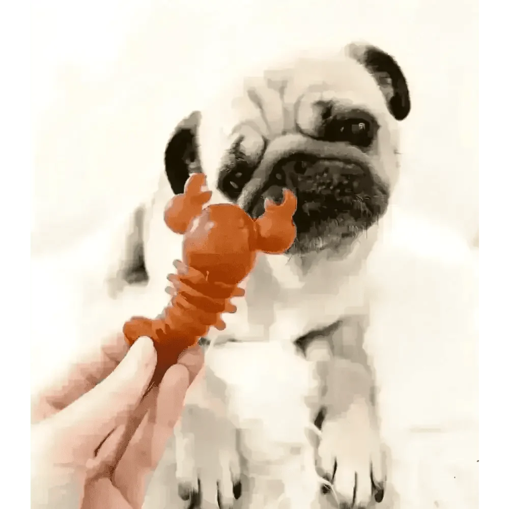 Carrot & Pumpkin Lobster Dog Chew