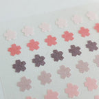 Suatelier |Plain 62
