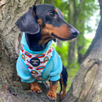 Dog Hoodie - Black