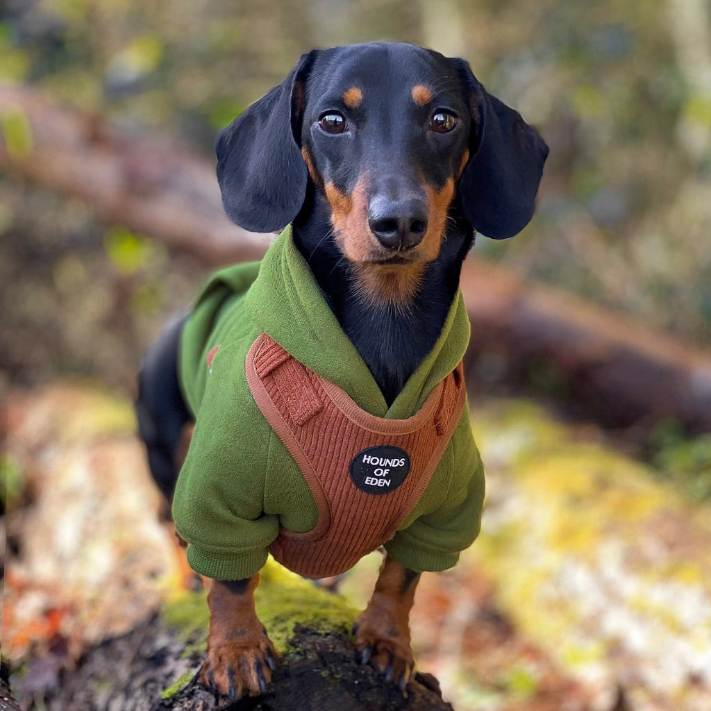 Dog Hoodie - Black