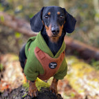 Dog Hoodie - Black