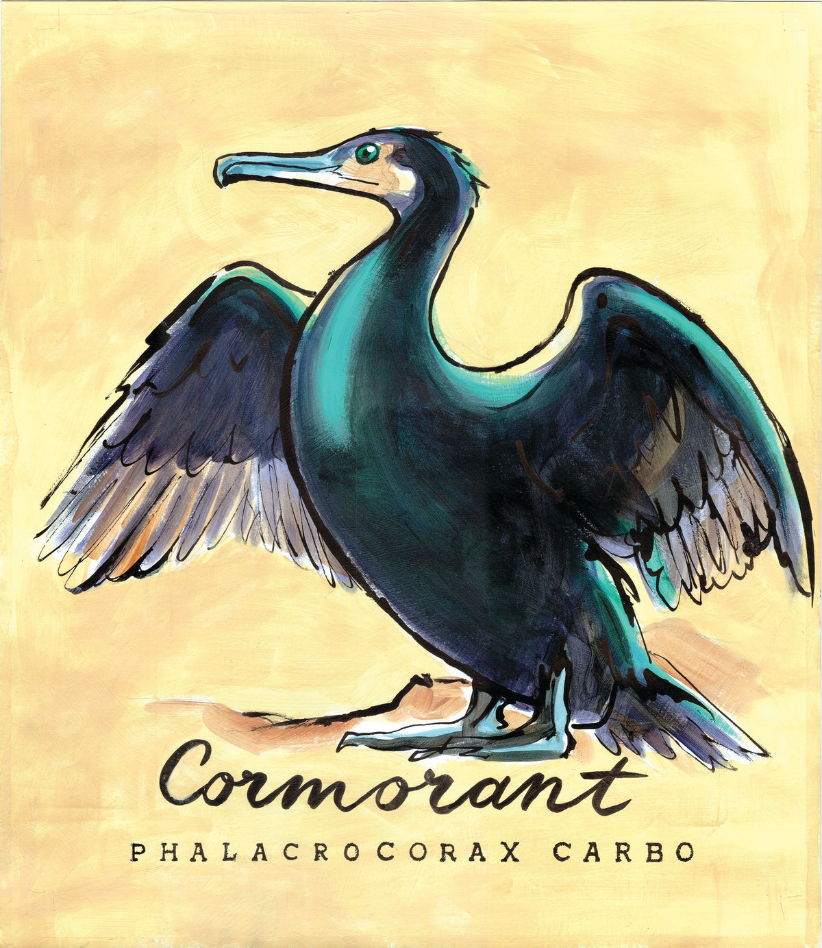 Cormorant  - Cornish Sea Life Series - Giclée Print