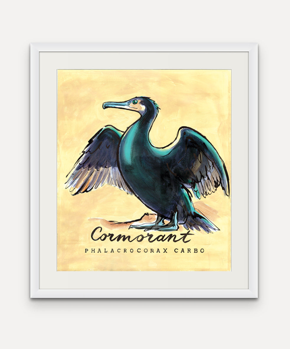 Cormorant  - Cornish Sea Life Series - Giclée Print