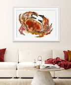 Newlyn Crab - Giclée Watercolour Print