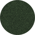 Luxury Washable Green Dog Blanket | Richmond
