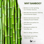 Eco Bath London Bamboo Toothbrush in Bamboo Tube Travel Case
