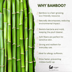 Eco Bath London Bamboo Hair Brush with Boar Bristles - Eco-Friendly Detangling Hairbrush for All Hair Types