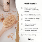 Eco Bath London Natural Hard Sisal Body Brush with Detachable Handle