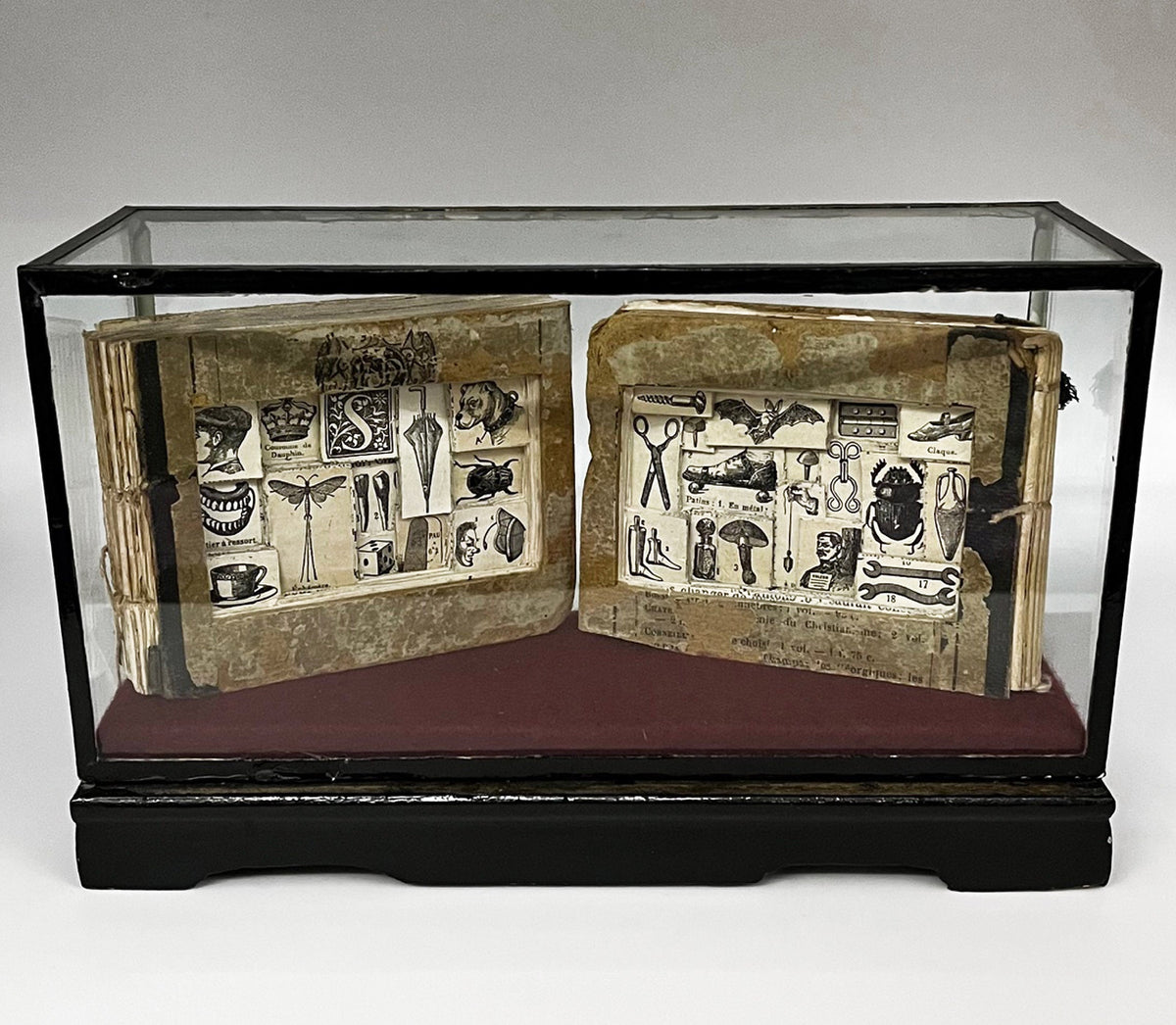 The Egg Books - Altered Book/ Book Carving in Vintage Glass Case