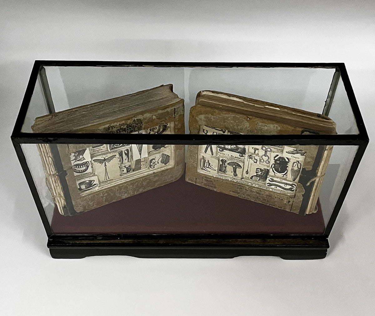 The Egg Books - Altered Book/ Book Carving in Vintage Glass Case