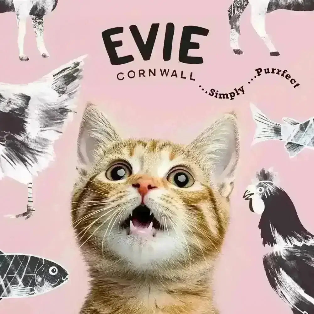Evie Duck with Sardines Weight Control Dry Cat Food