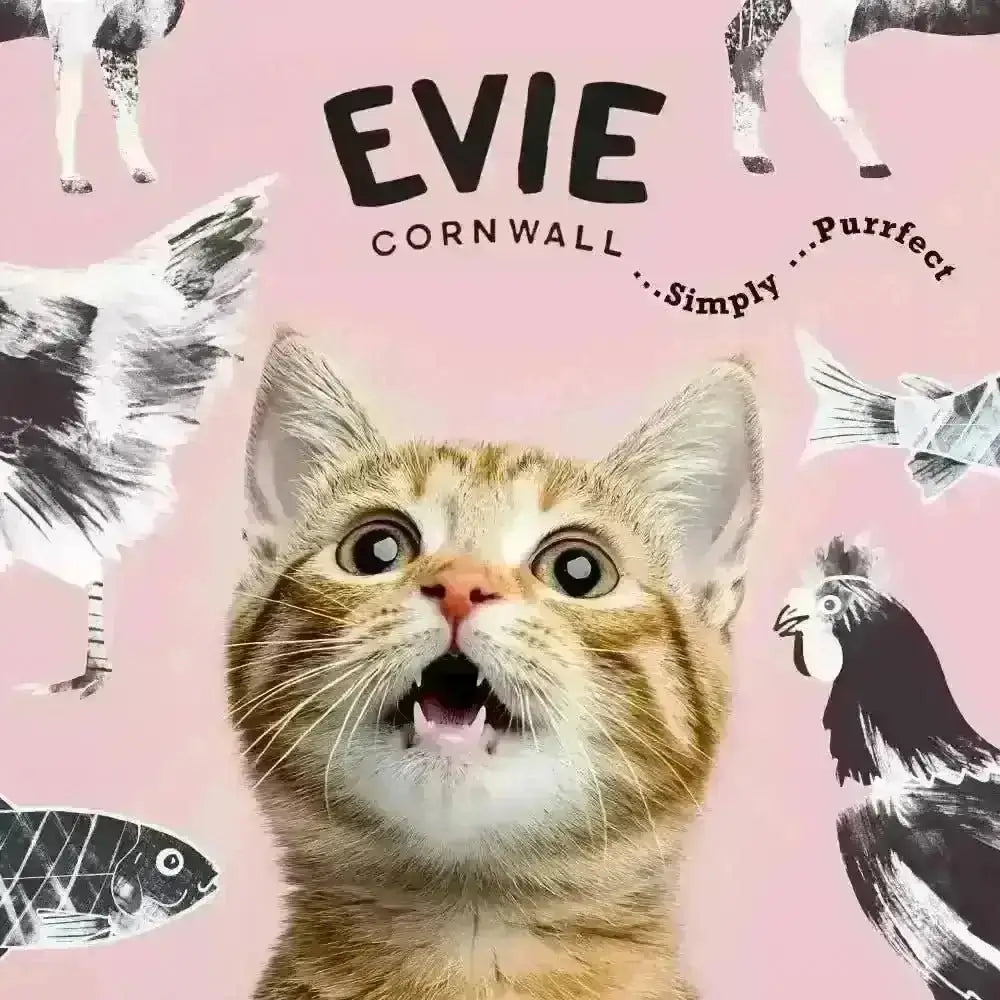 Evie Natural Dry Cat Food Salmon with Whitefish