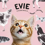 Cat Food for Neutered Cats - Evie Salmon & Whitefish Dry Food by The Pets Larder (evie-natural-dry-cat-food-salmon-with-whitefish)