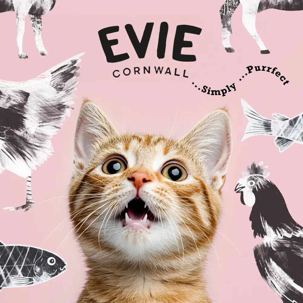 Natural Kitten Food – High Protein Turkey & Chicken Recipe by The Pets Larder (evie-natural-dry-kitten-food-turkey-with-chicken)
