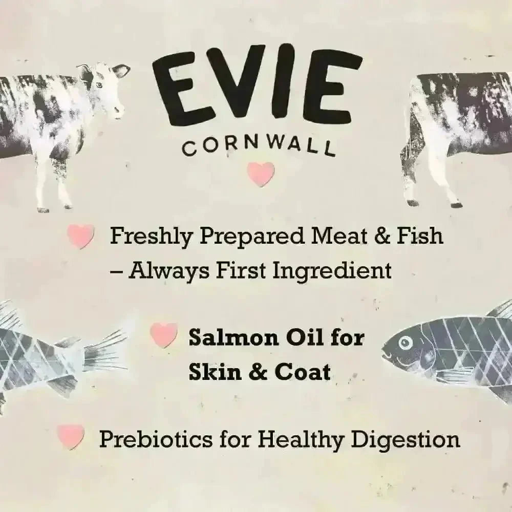 Evie Natural Dry Kitten Food Turkey With Chicken