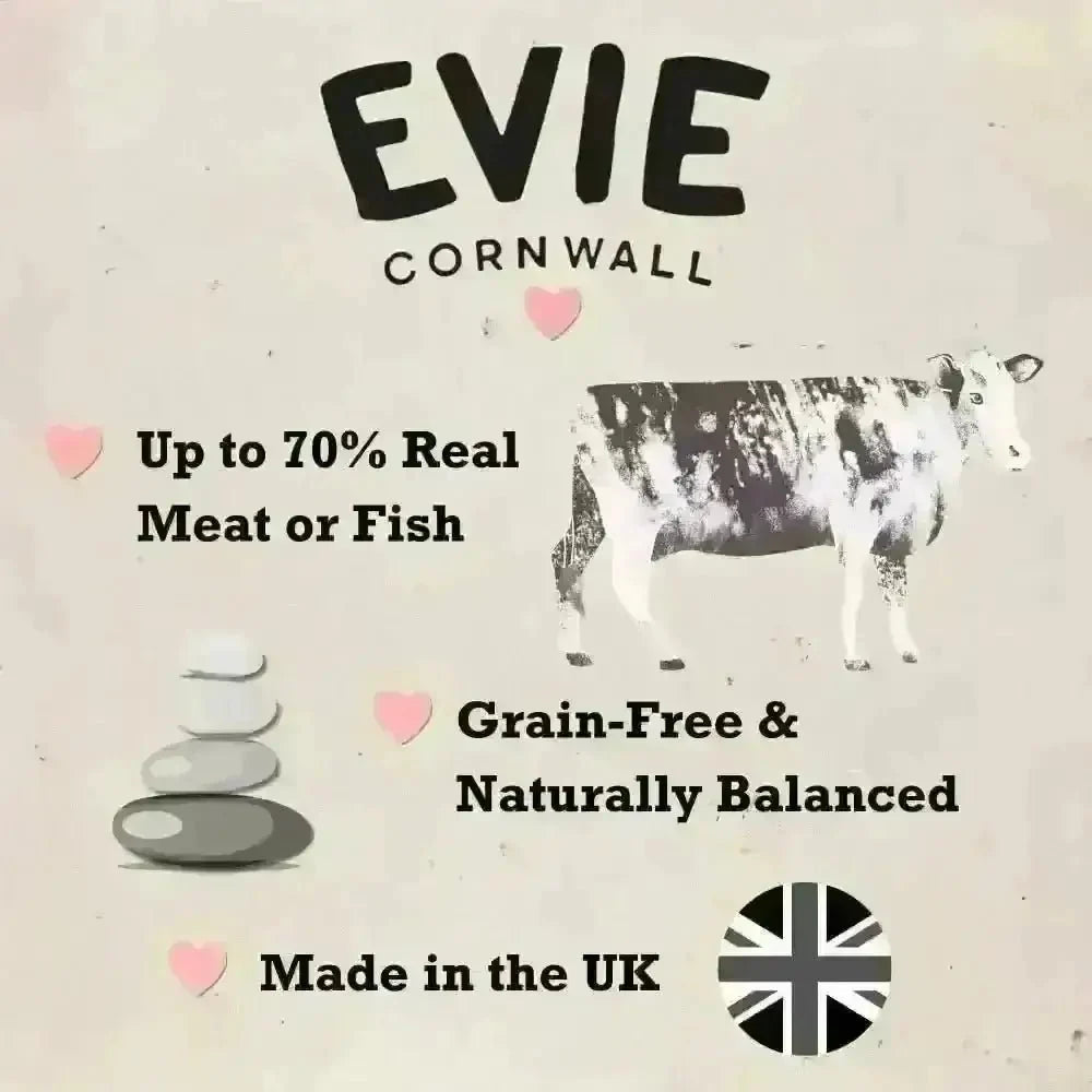 Evie Natural Dry Kitten Food Turkey With Chicken