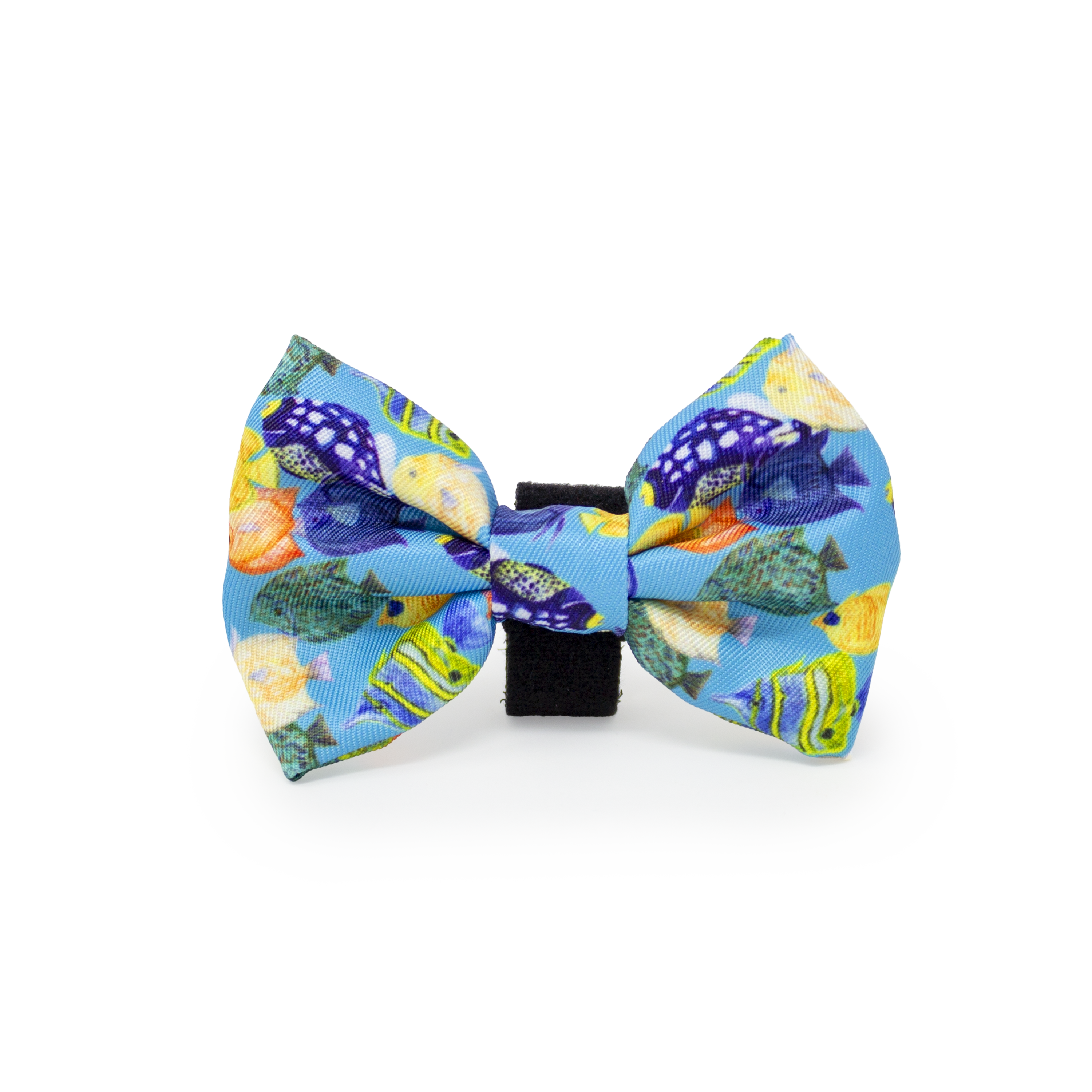 Under The Sea Design Dog Collar