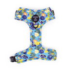 Under The Sea Design Dog Collar