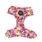 'Florentina' - Floral Dog Harness