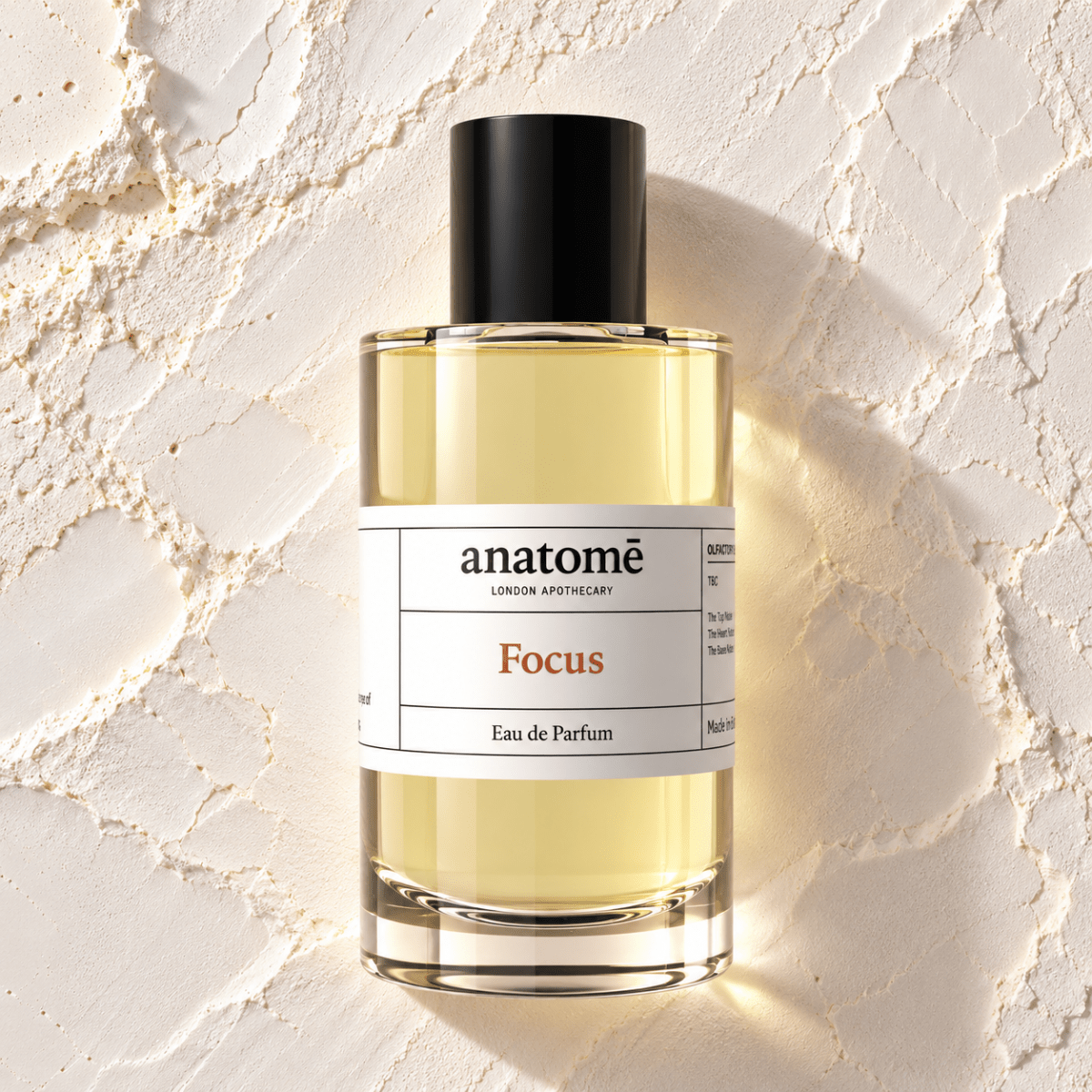 Focus Eau de Parfum | Sharpen Focus & Awaken the Senses 100ml