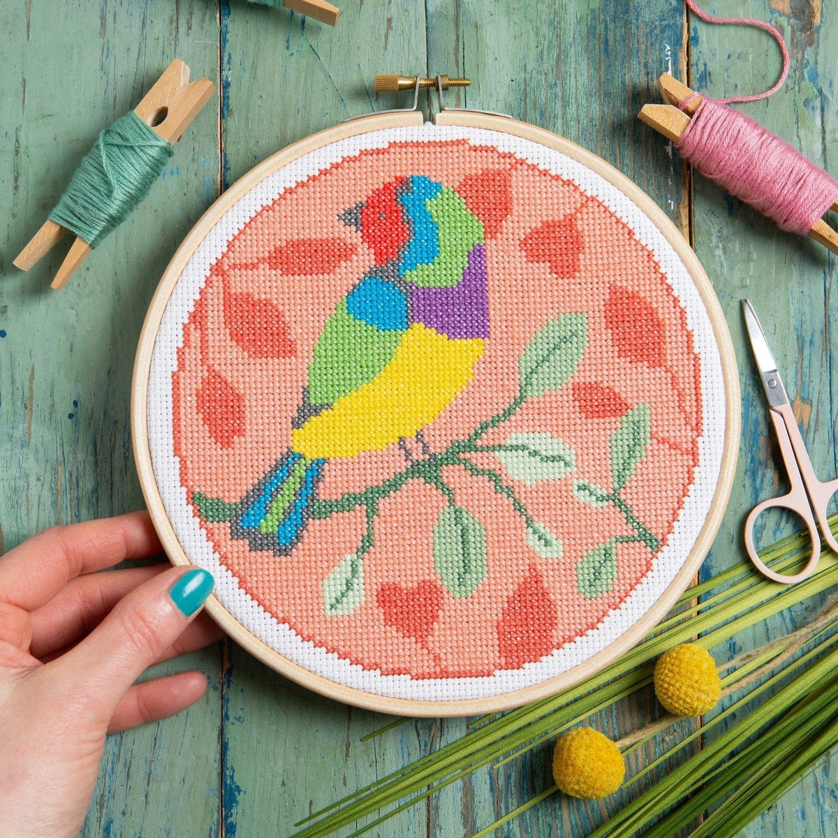 Rainbow Finch Cross Stitch Kit for Beginners