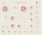 Peony Floral Decals | Self-Adhesive Wall Stickers for Nursery or Home Decor