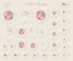 Peony Floral Decals | Self-Adhesive Wall Stickers for Nursery or Home Decor