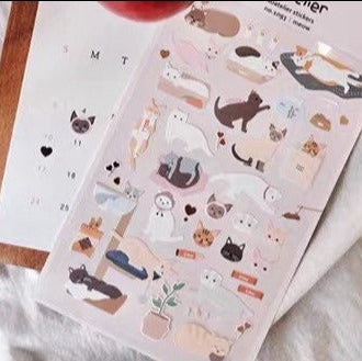 Suatelier | Meow