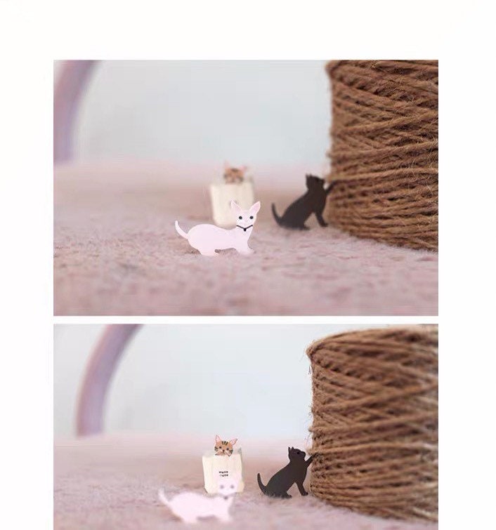 Suatelier | Meow